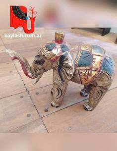 Elefante Albasia Nury