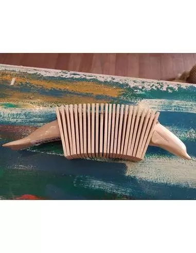 Maraca acordeón