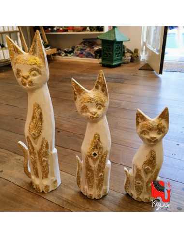 Gato con espejos