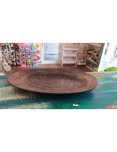 Bandeja de coco 2