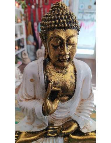 Buda Siddharta protección