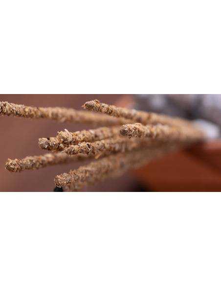 sahumerios-sagrada-madre-naturales-ecologicos-biomasa-fruta-inciensos-limpieza-energetica-kaylash