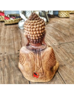 buda suar 2