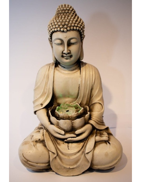 Fuente Buda loto