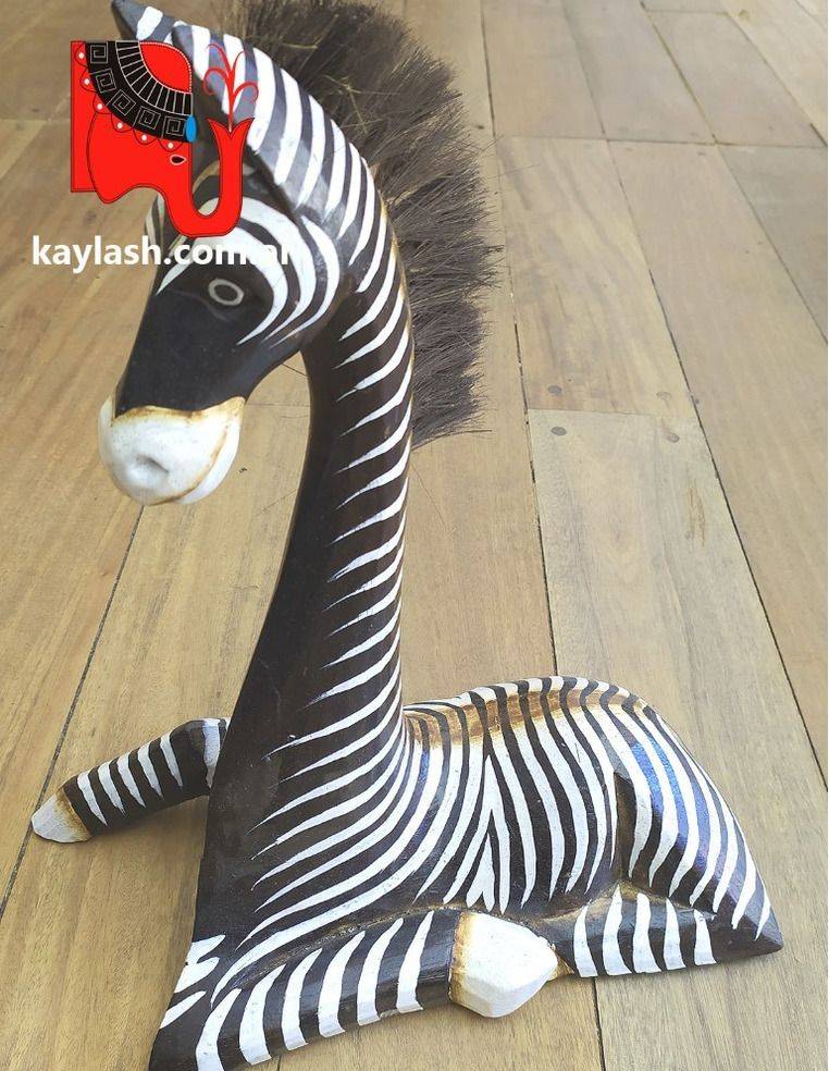Zebra sentada Origen: Indonesia