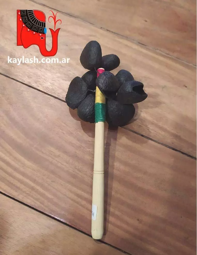 Maraca semillas 